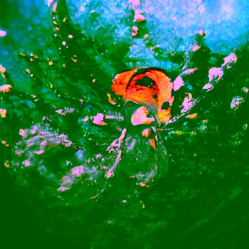 Abstract Art Collection #19