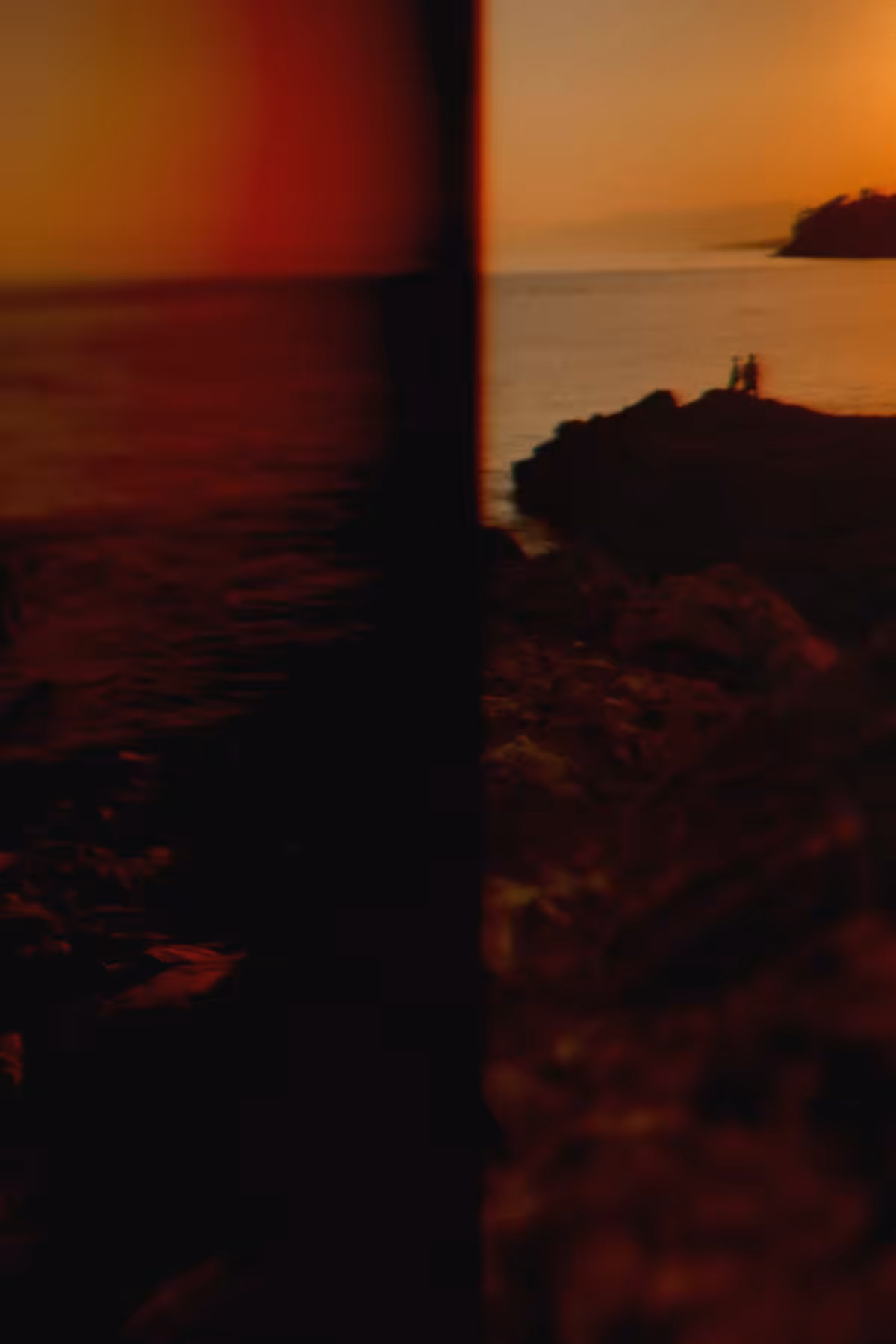 Diaries #52