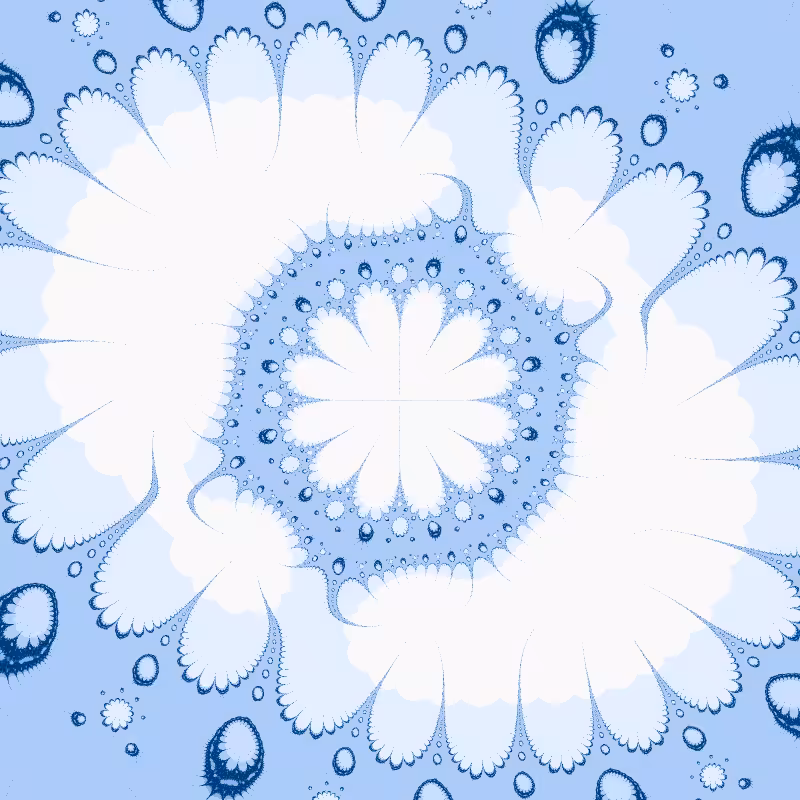 Morphology #50