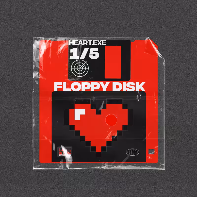 Floppy Disk (1/5)
