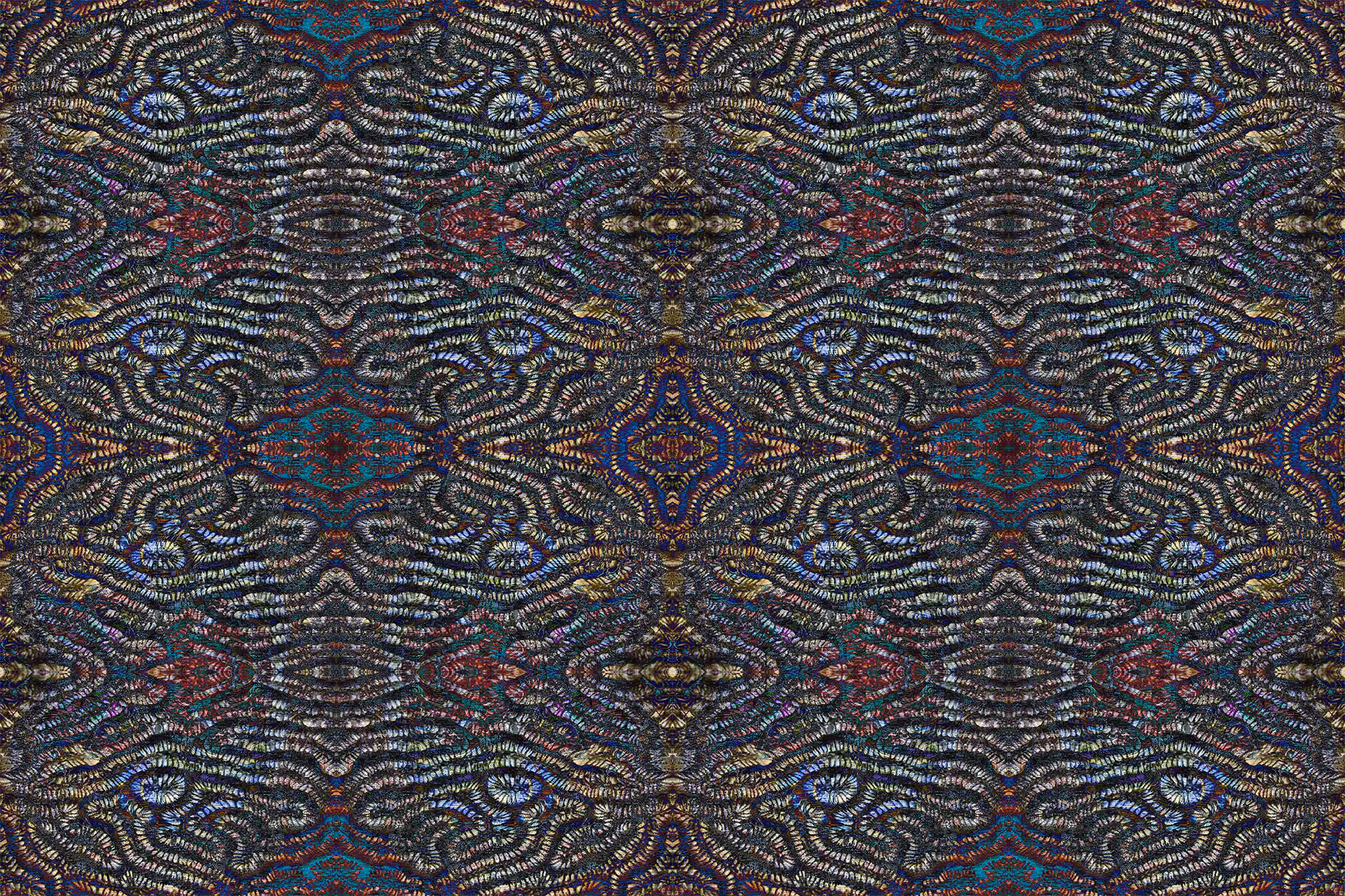WP Fractal: Coral