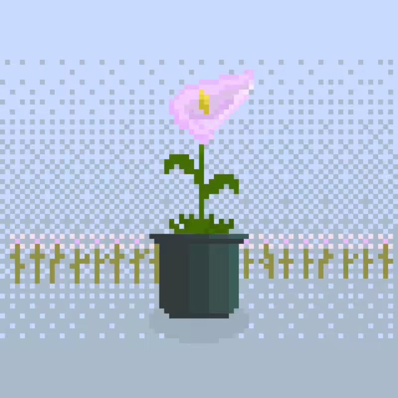 Nothing But Flowers #201