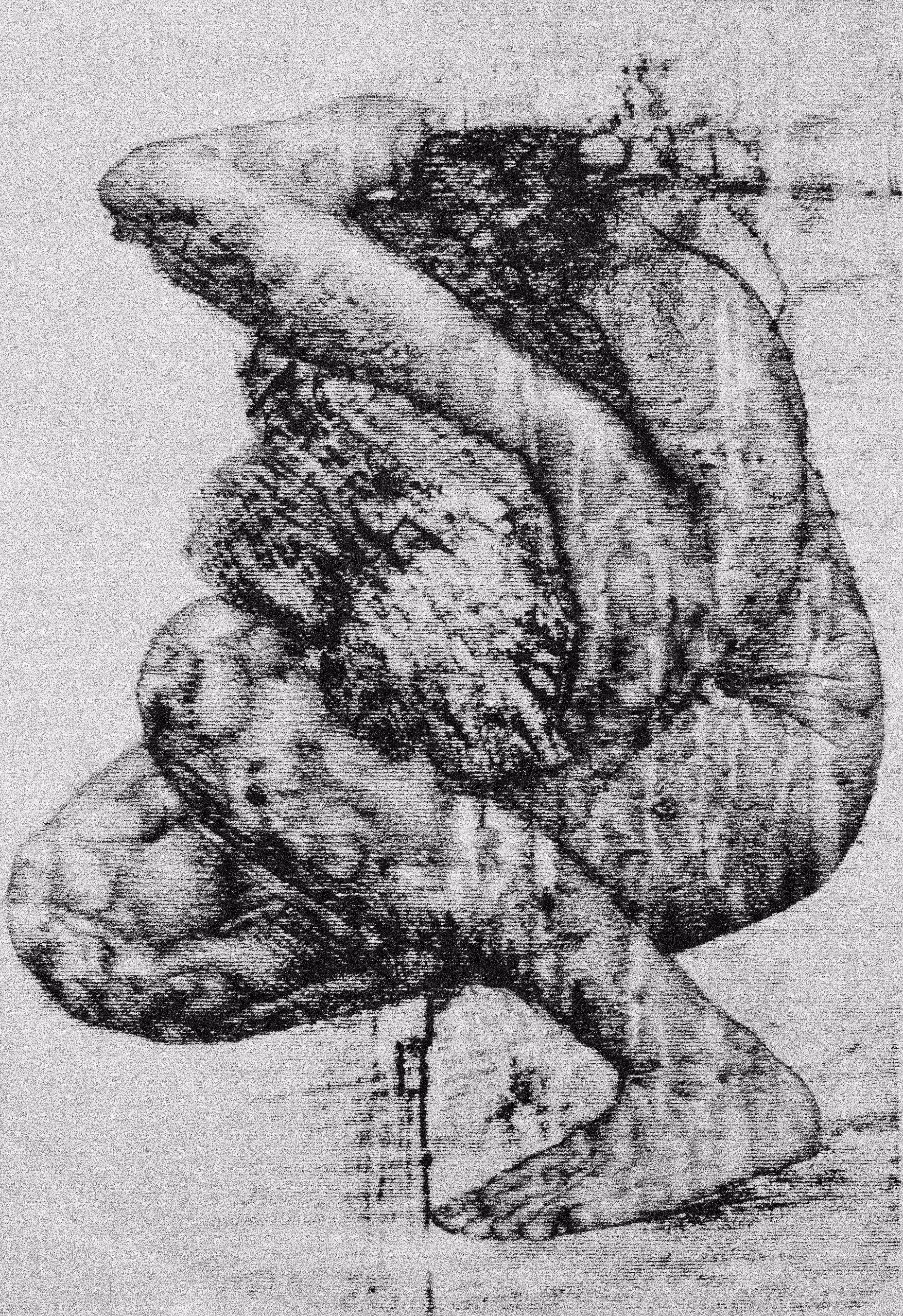 The knot