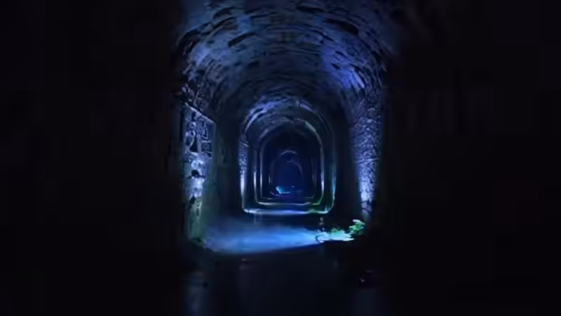 DX01: SINGULARITY 10740