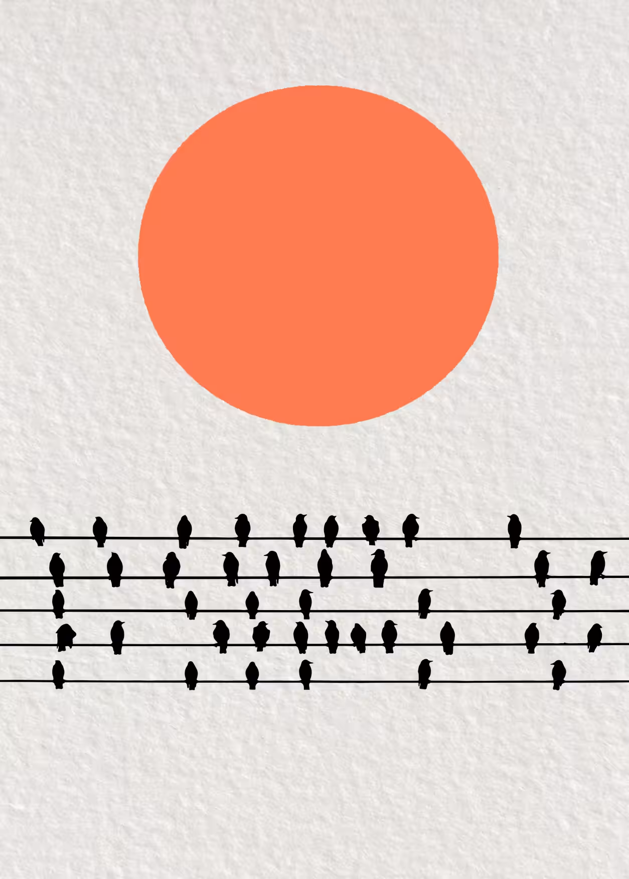 Sunset and the birds