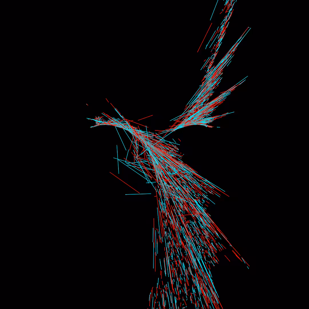Name: the phoenix (ققنوس) | BBR Generative Art