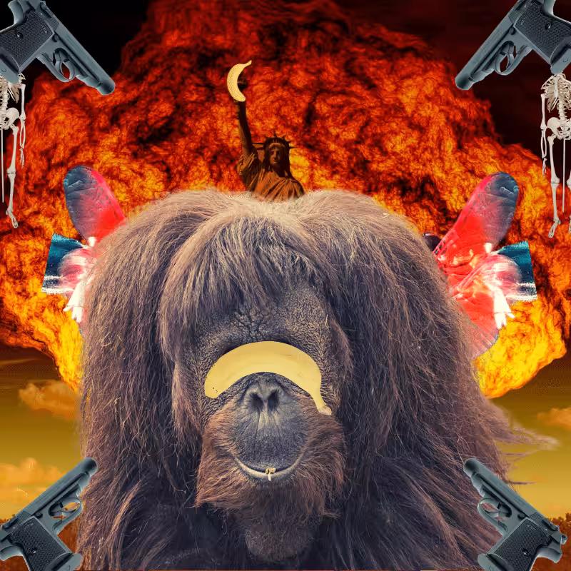 Blinded apes #13