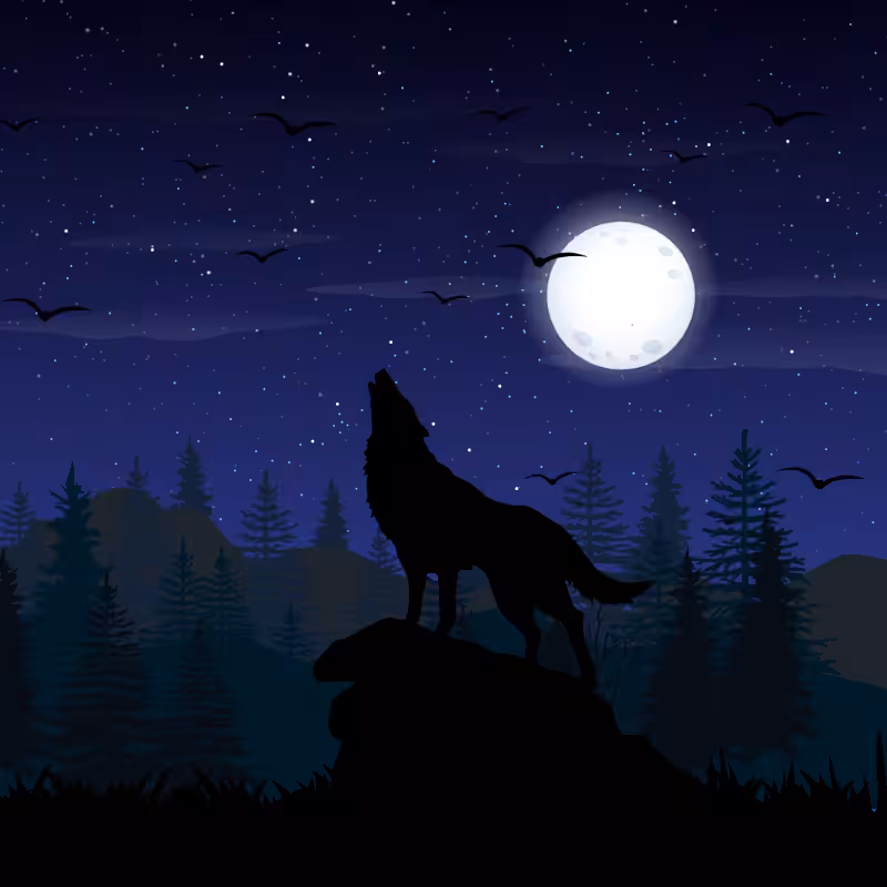 We Care...Wolf #4