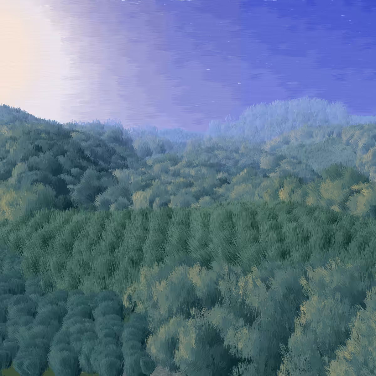 Provence #147