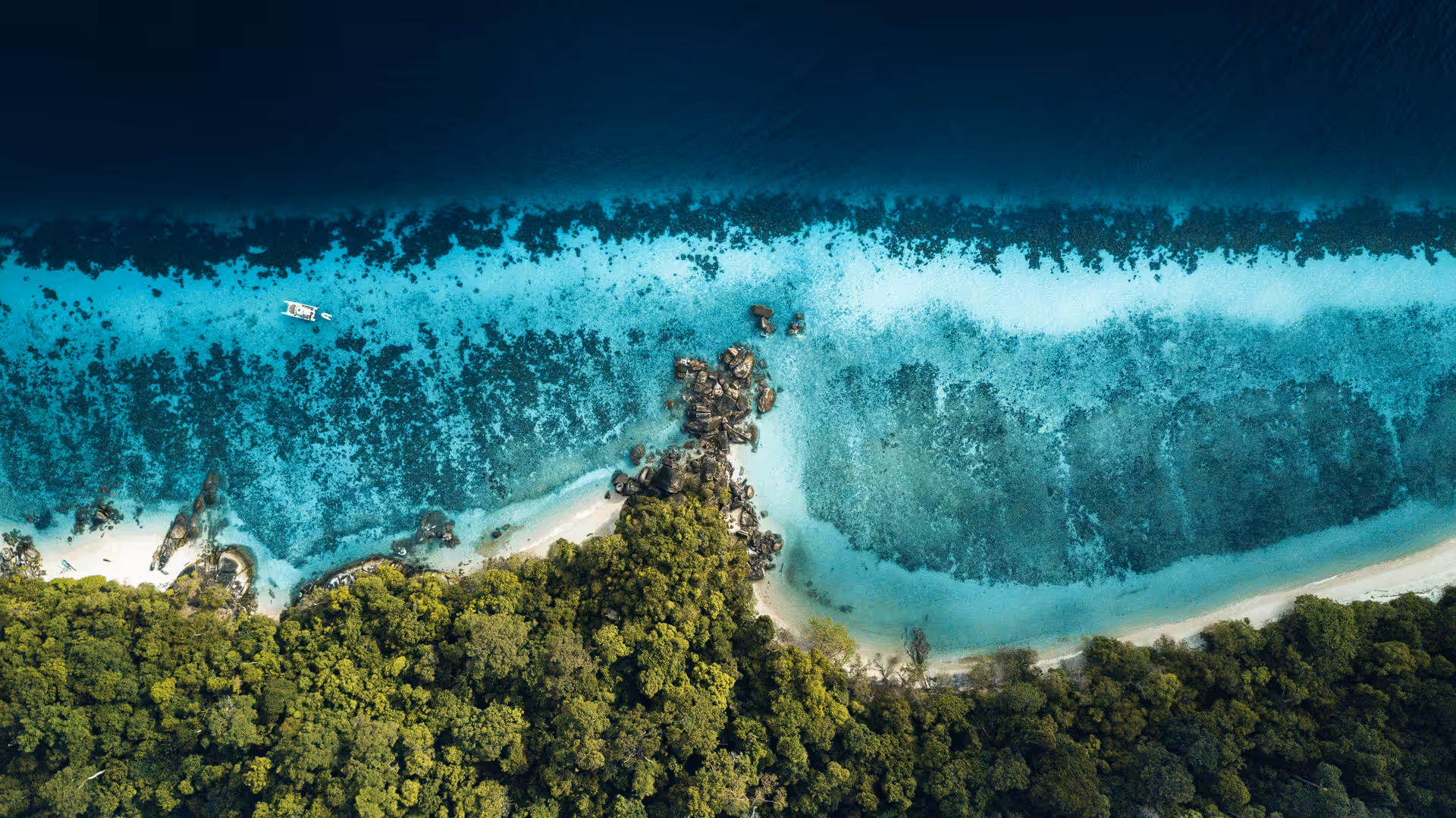 Tropical Vibes #1 ( The Coral Barrel )