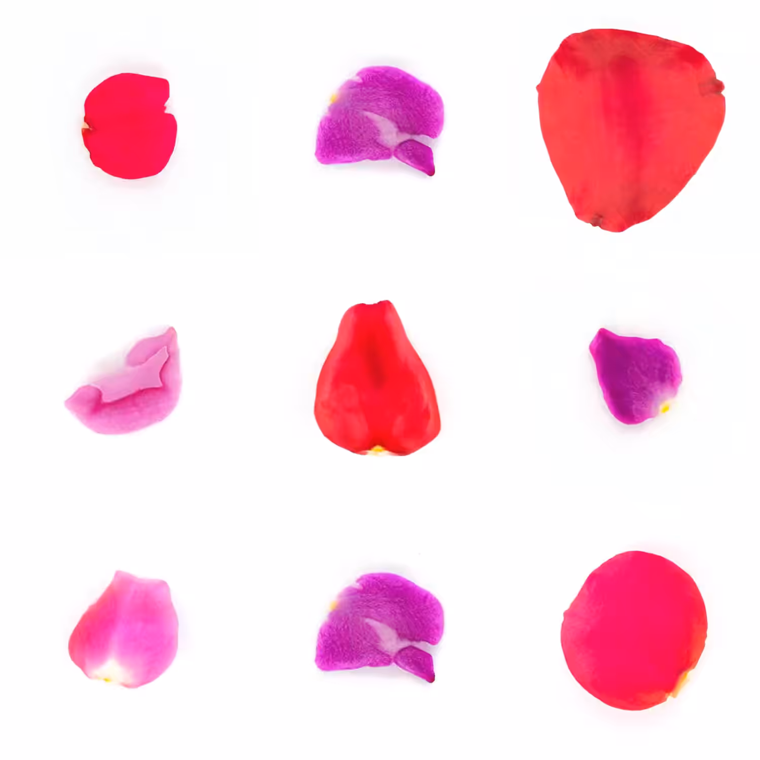 Infinite Petals 3x3#3660