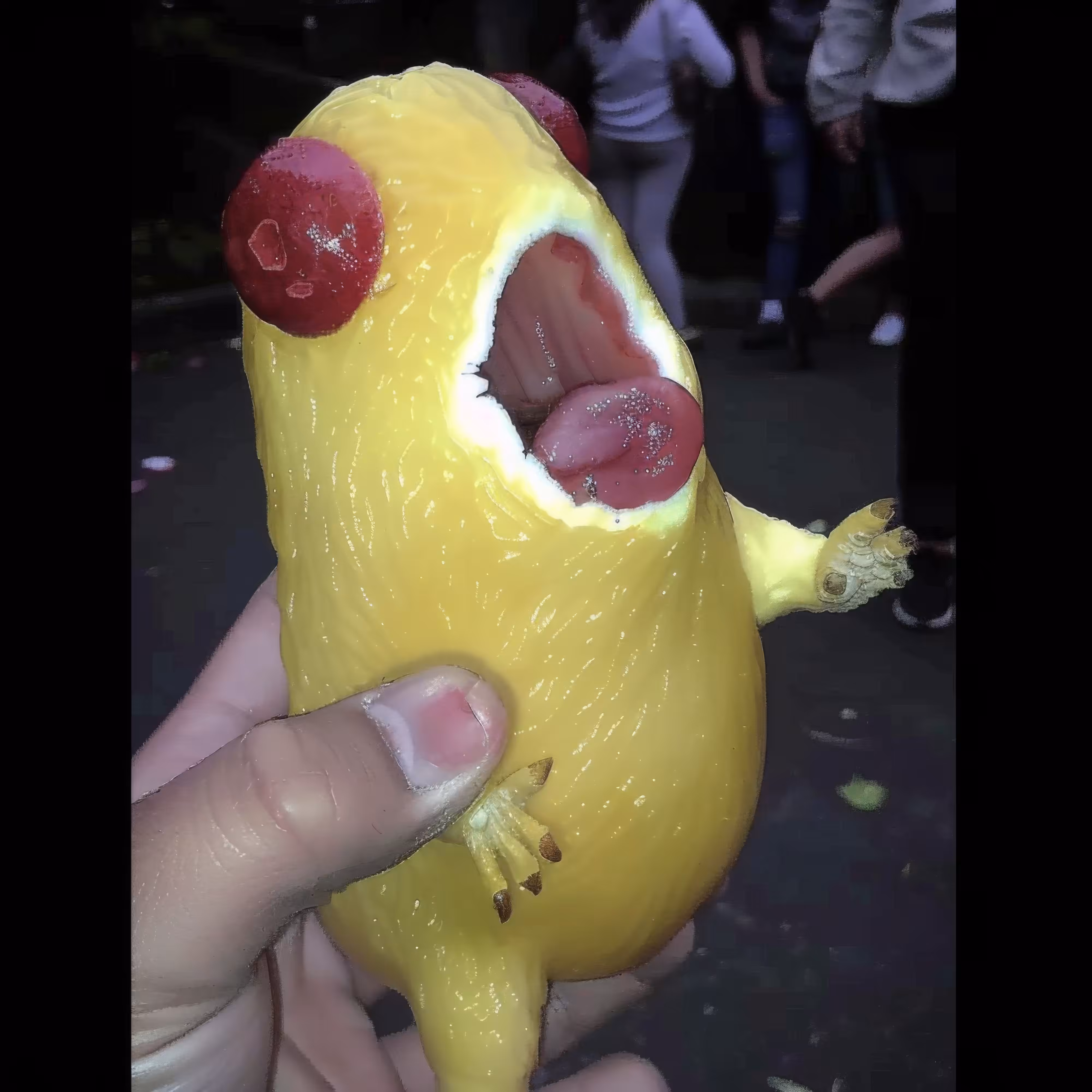 BAD JPEGs: Squawking-Fruit