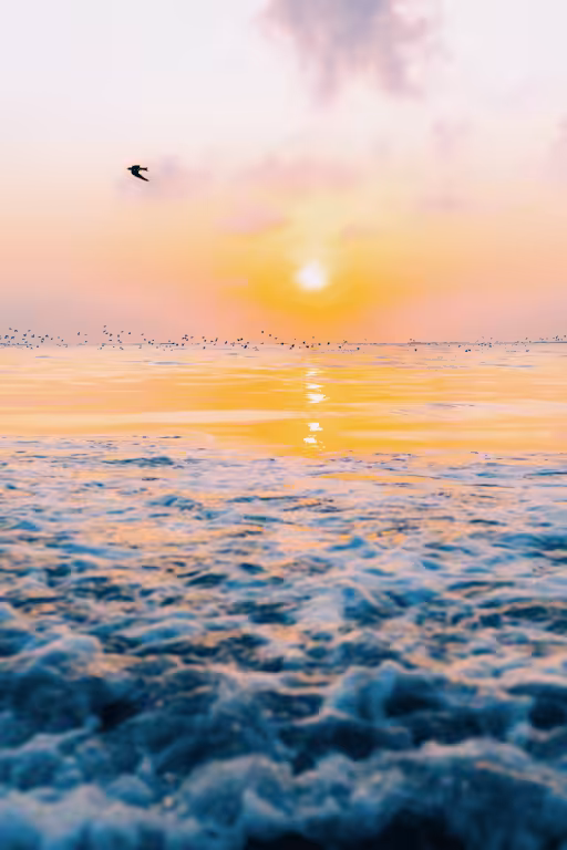 Tale #005: The Migration
