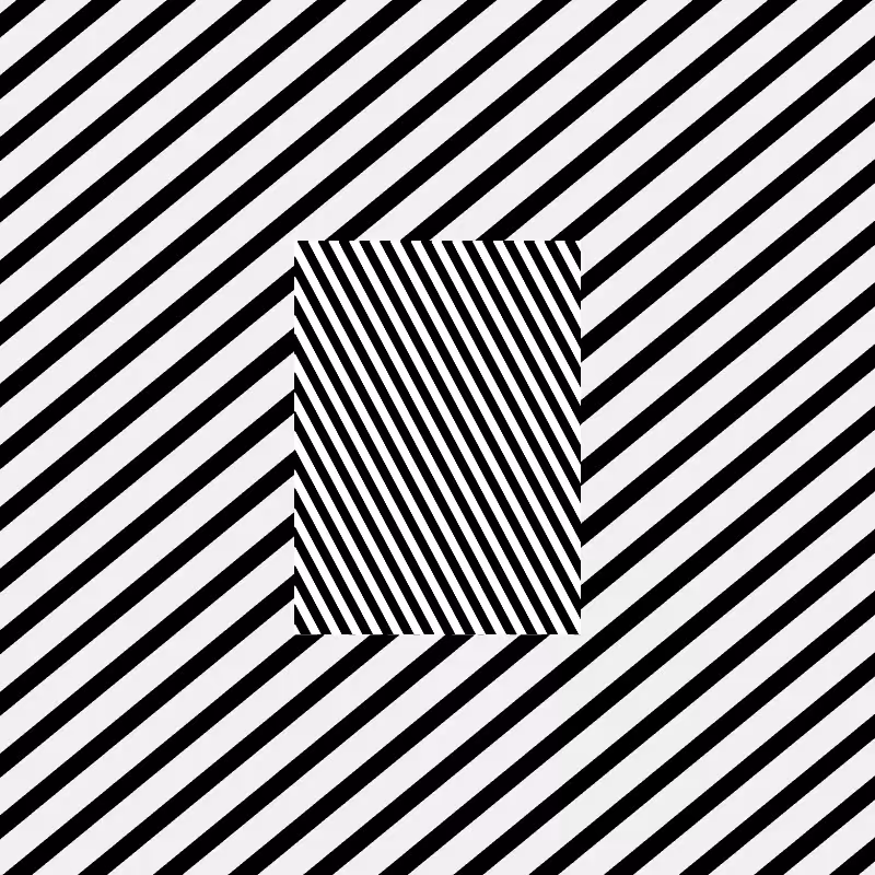 Chromatic dazzle #222