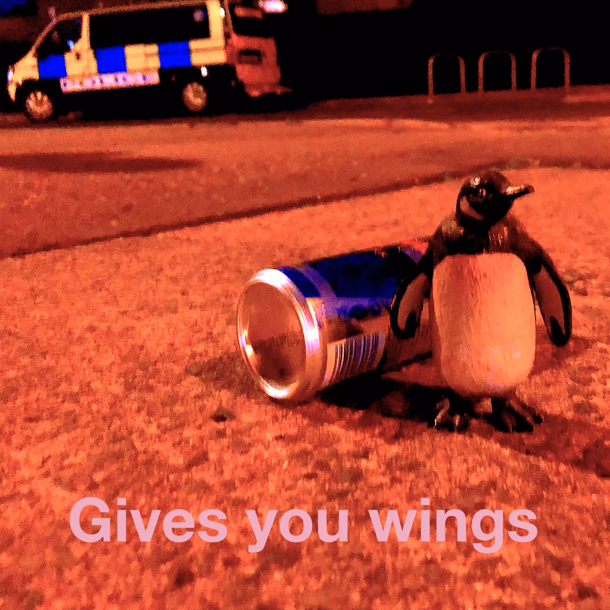 Gives you wings 2