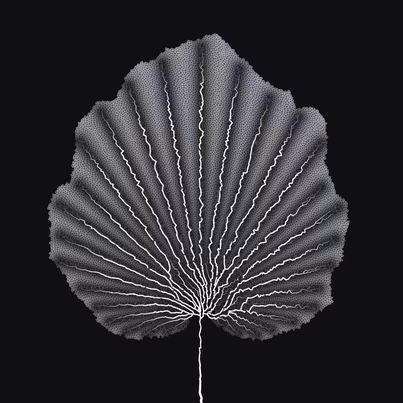 Leaf study #22