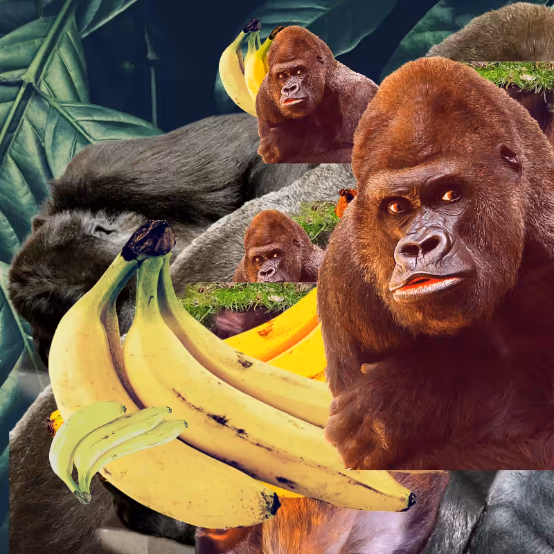 Banana #1 #5