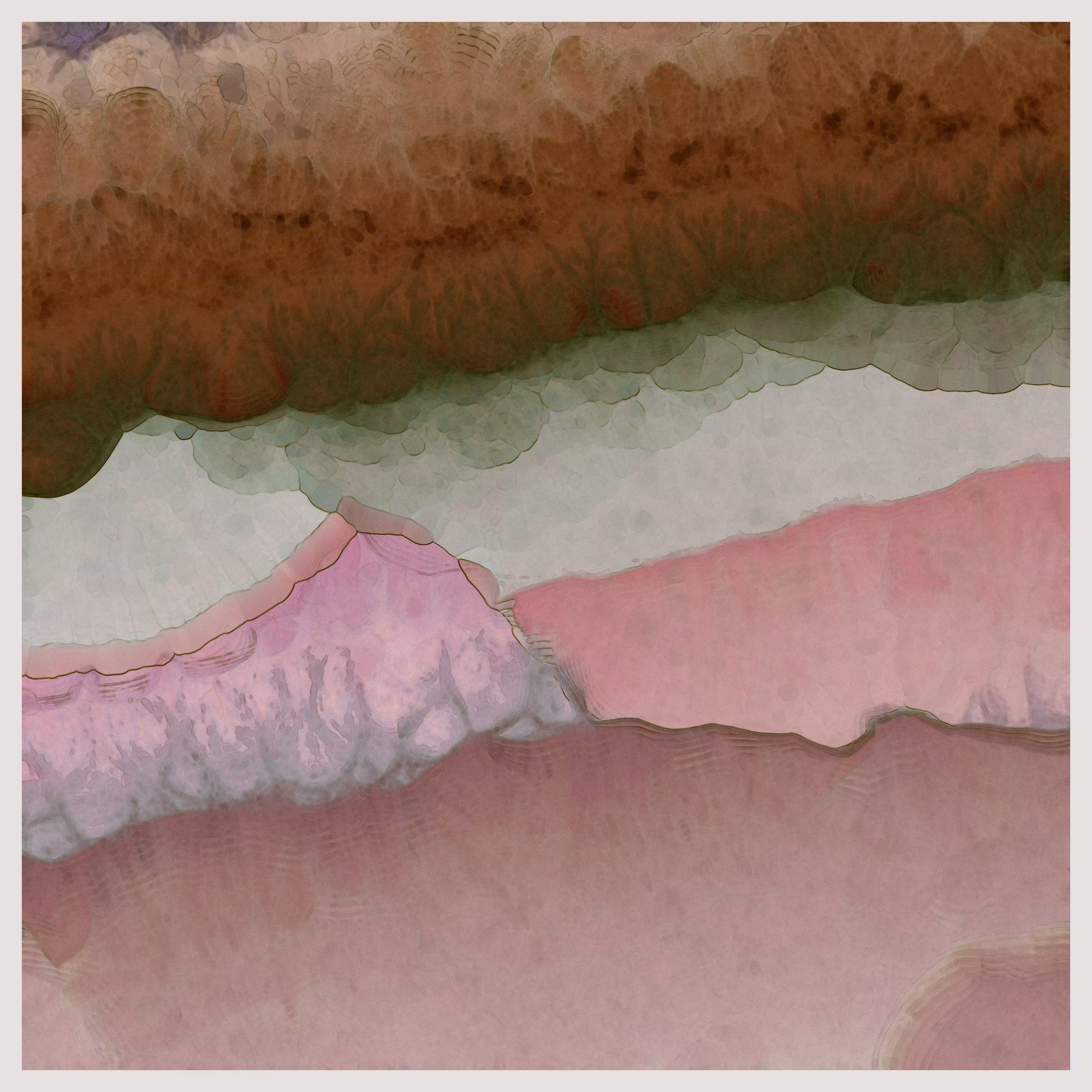 Bloom_01