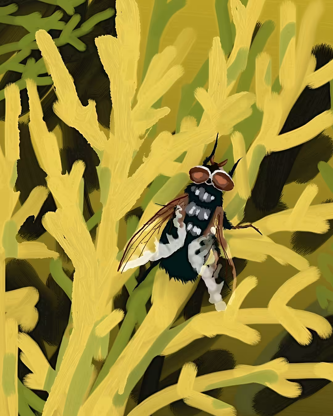 Art Of Abolfazl : A Fly And The Beautiful Plant 