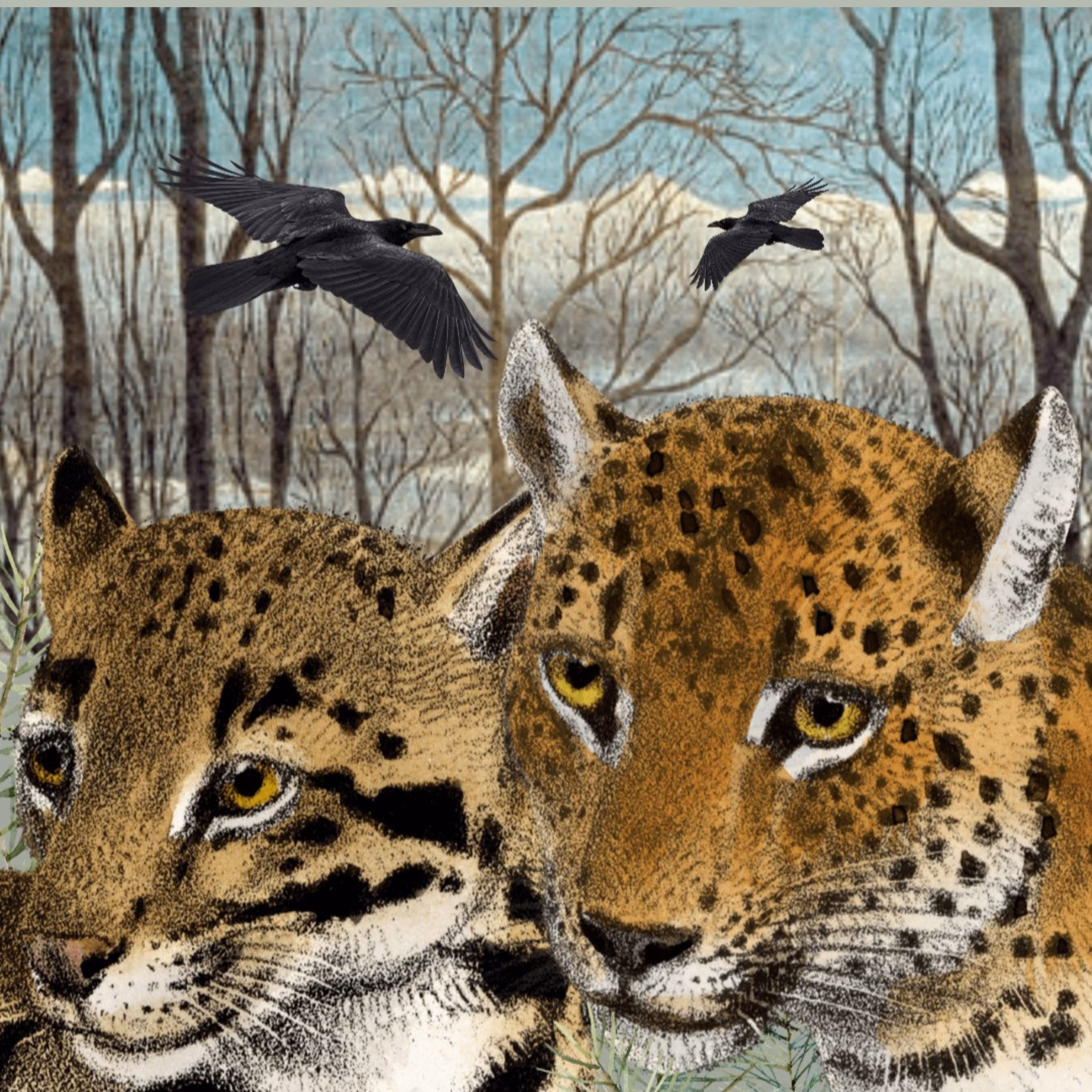 Leopard Buddies