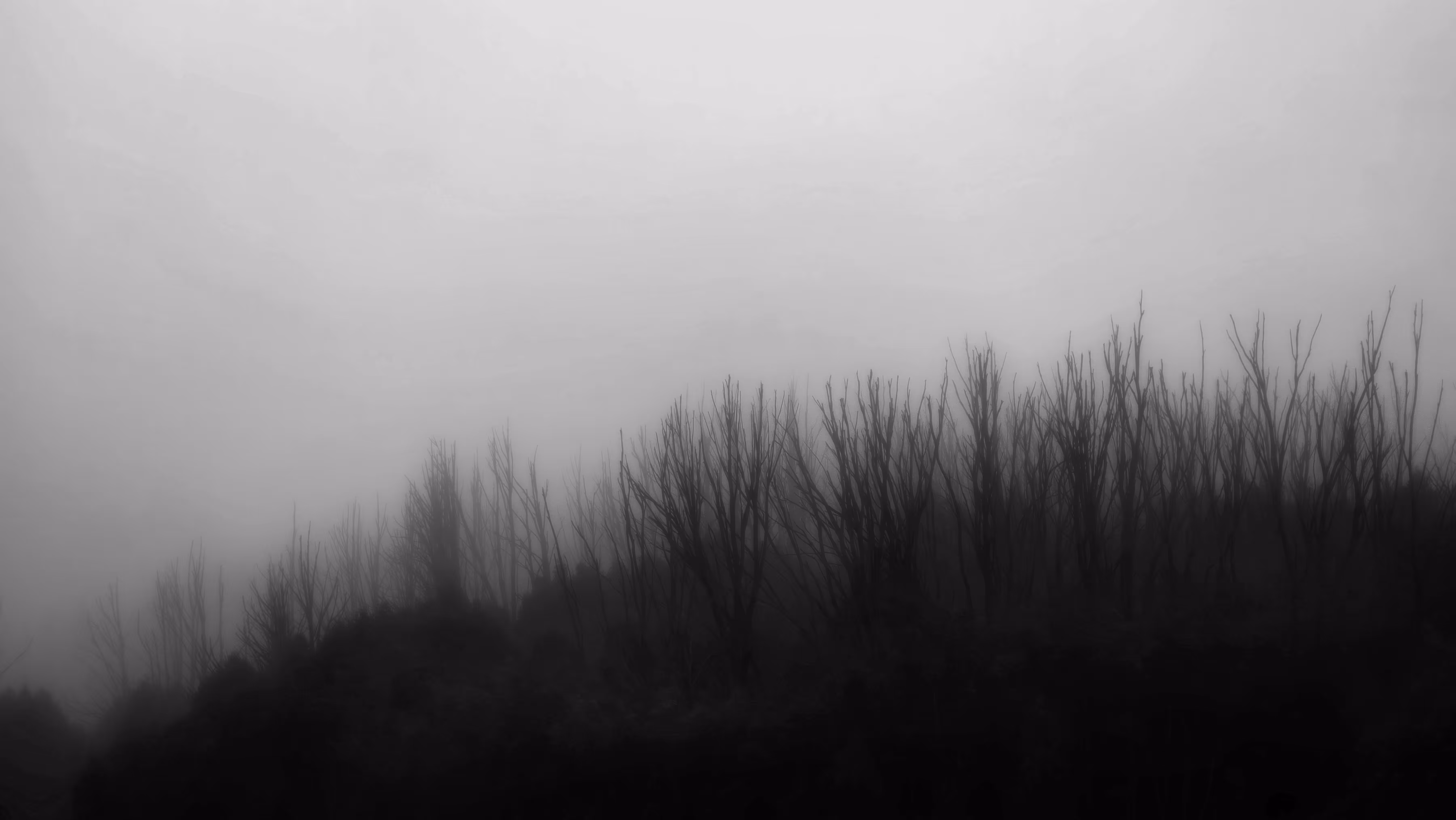 The Fading Ridge
