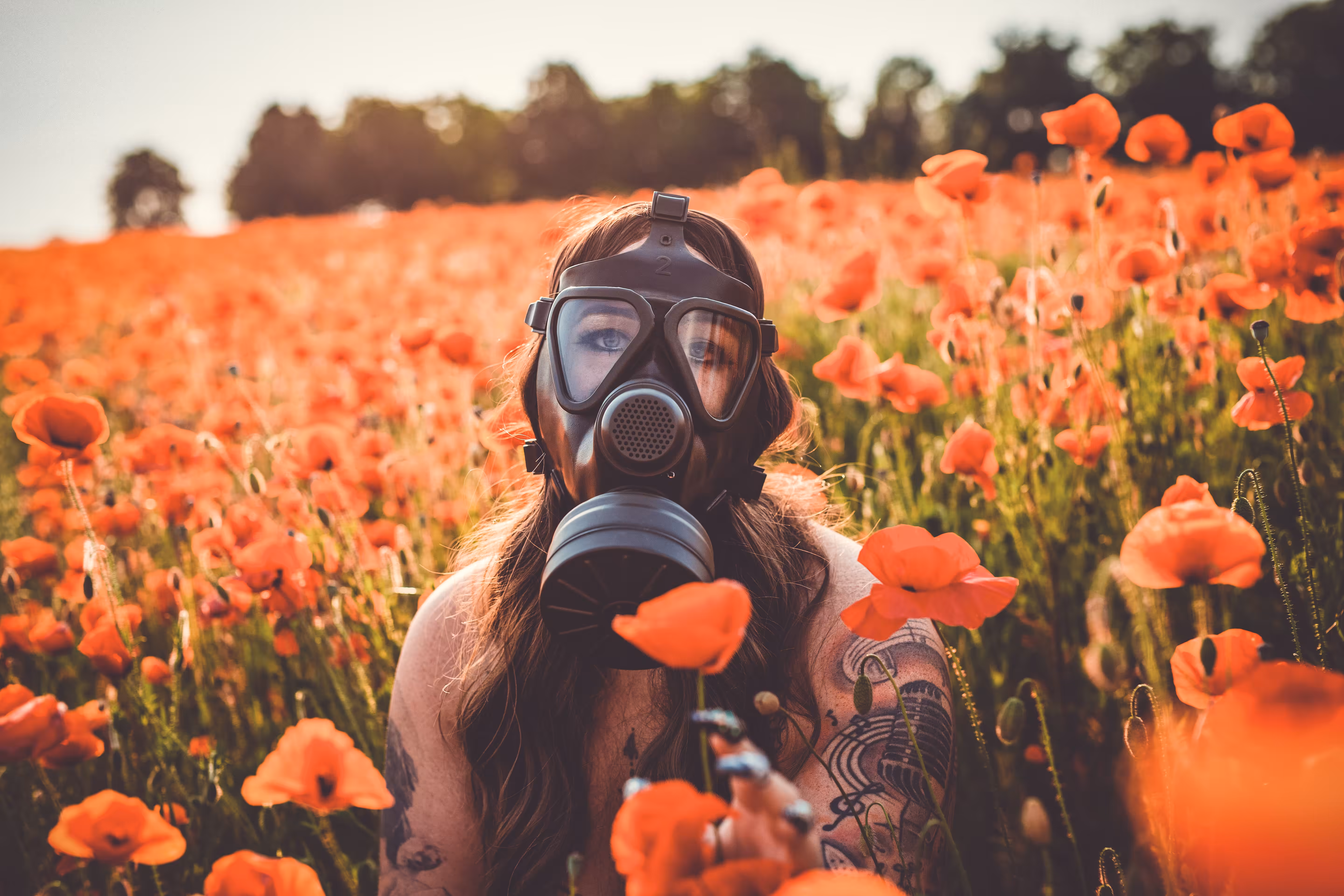 Poppy field- Woman with the gas mask 02