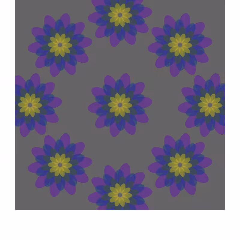 bloom unexpected #3