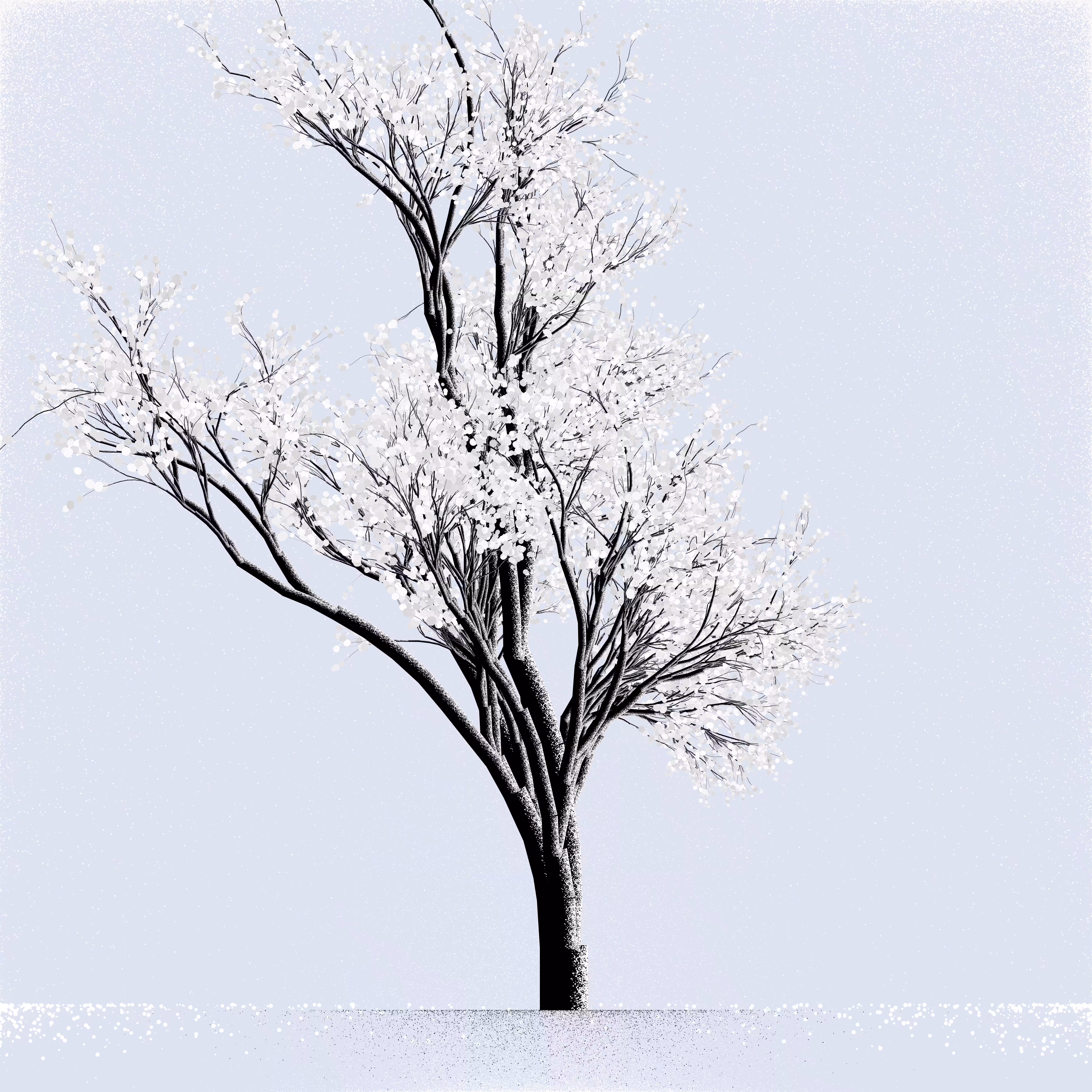 Snow Tree #46