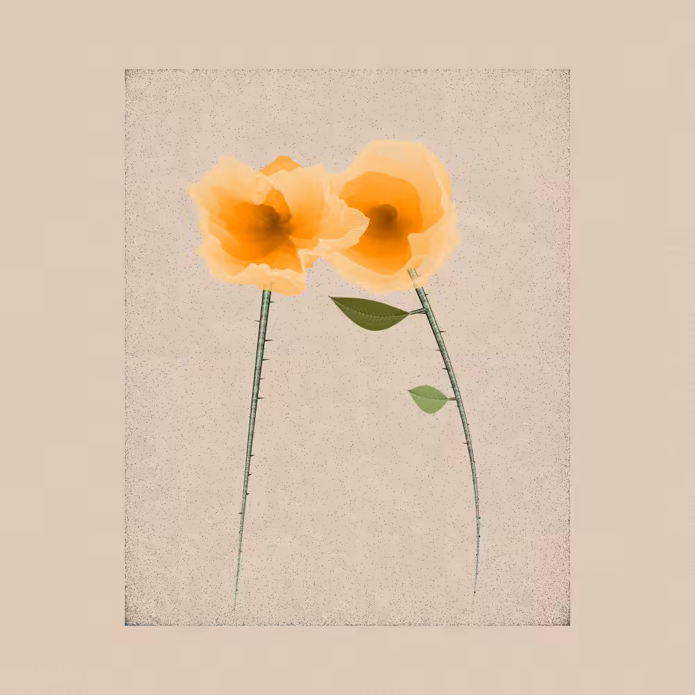 Magnolia #51