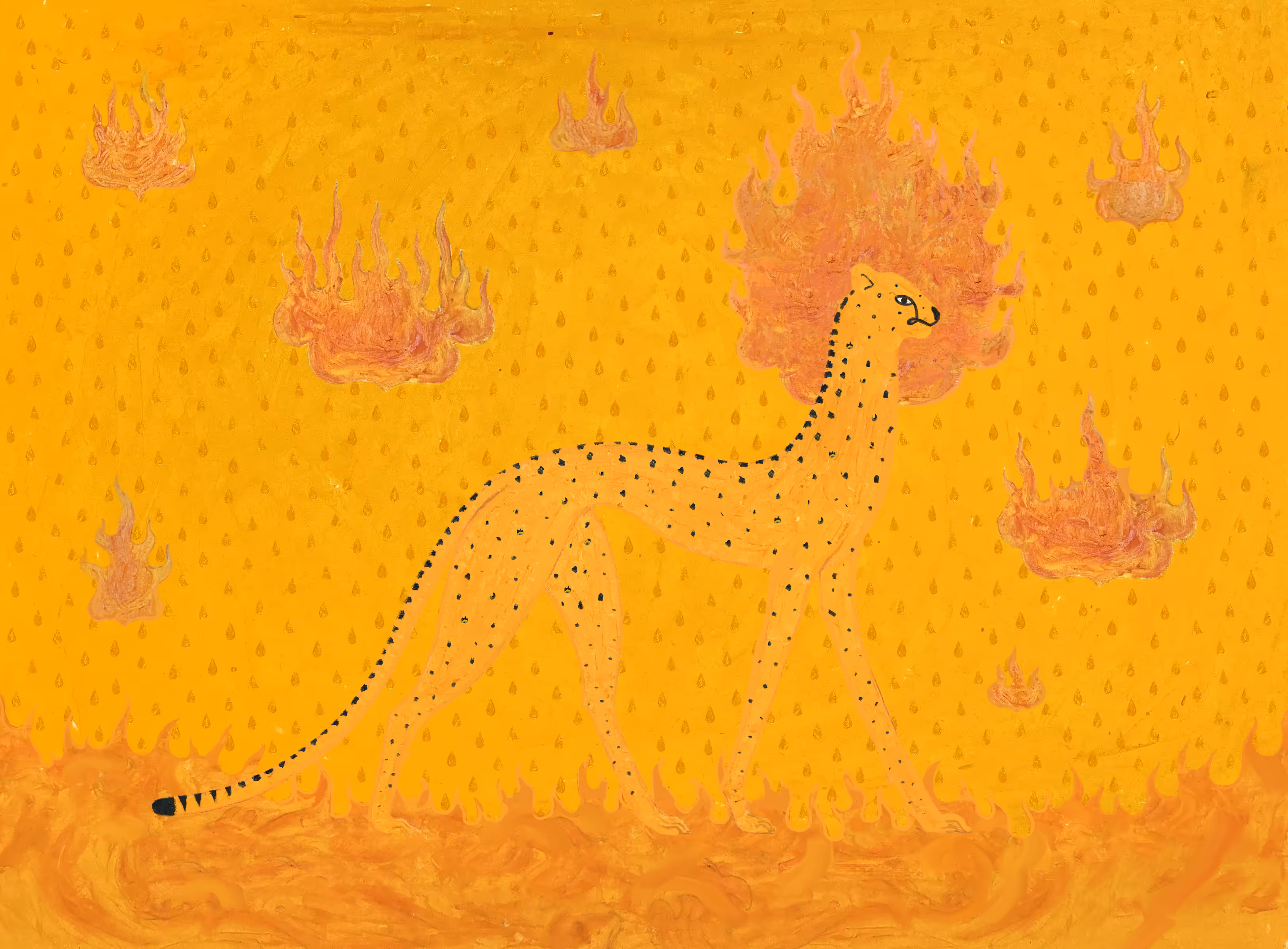 Chimera Cheetak Gold