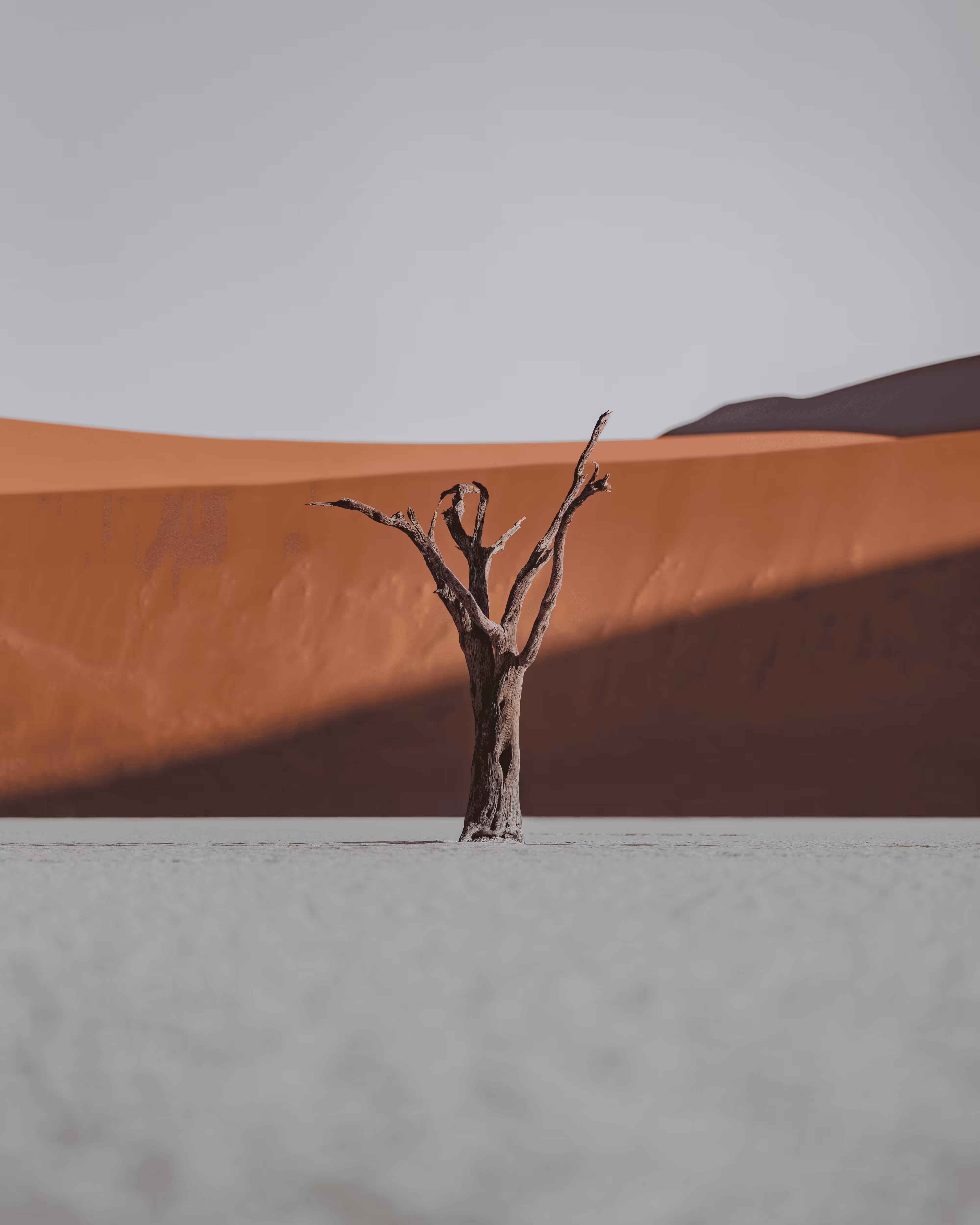#5. Dusty Deadvlei