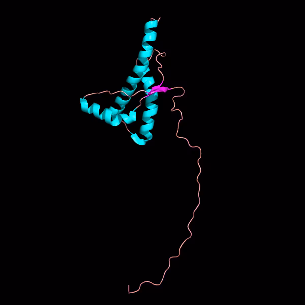 Mad Cow - Human Prion Protein