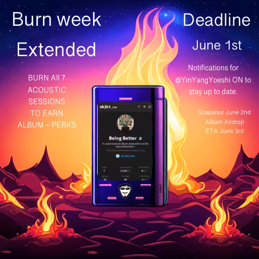 Acoustic Sessions Burn Notice
