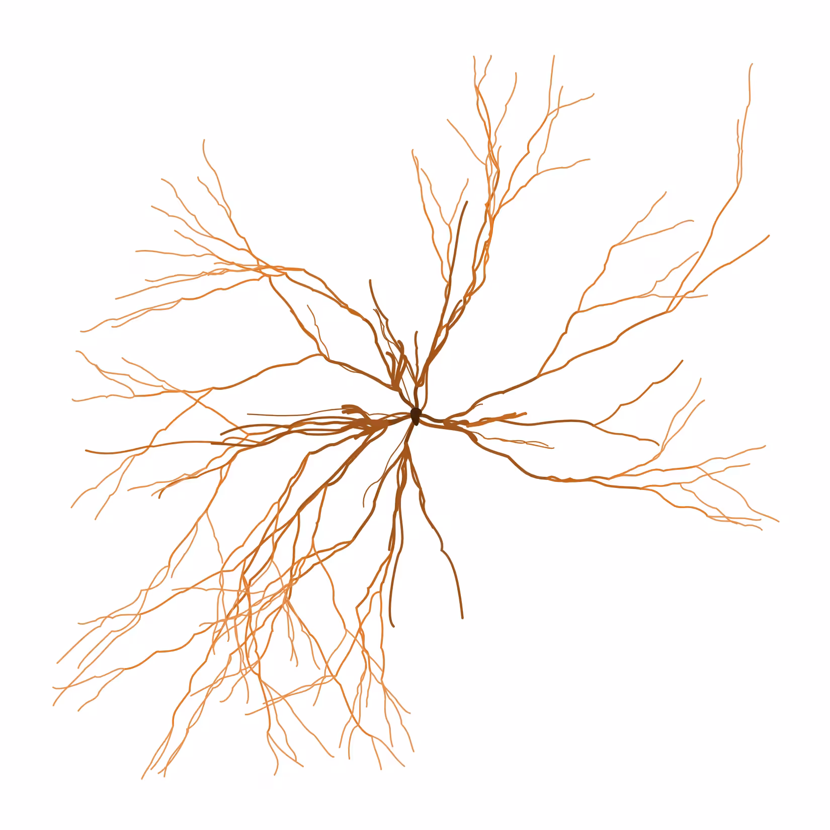 Ghost Forest Seedling #122