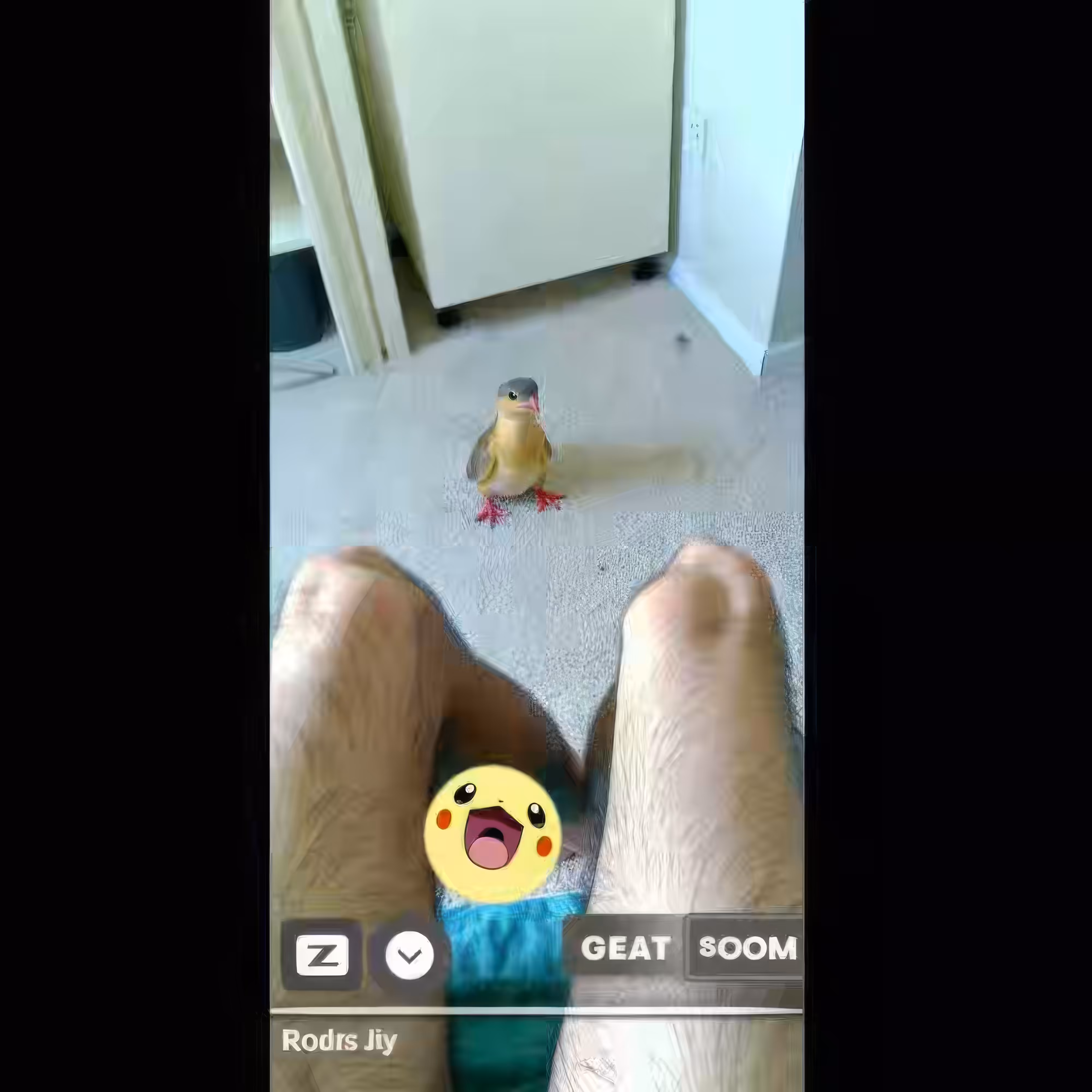 BAD JPEGs: Augmented-Peeper