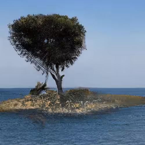 Founder Island #8