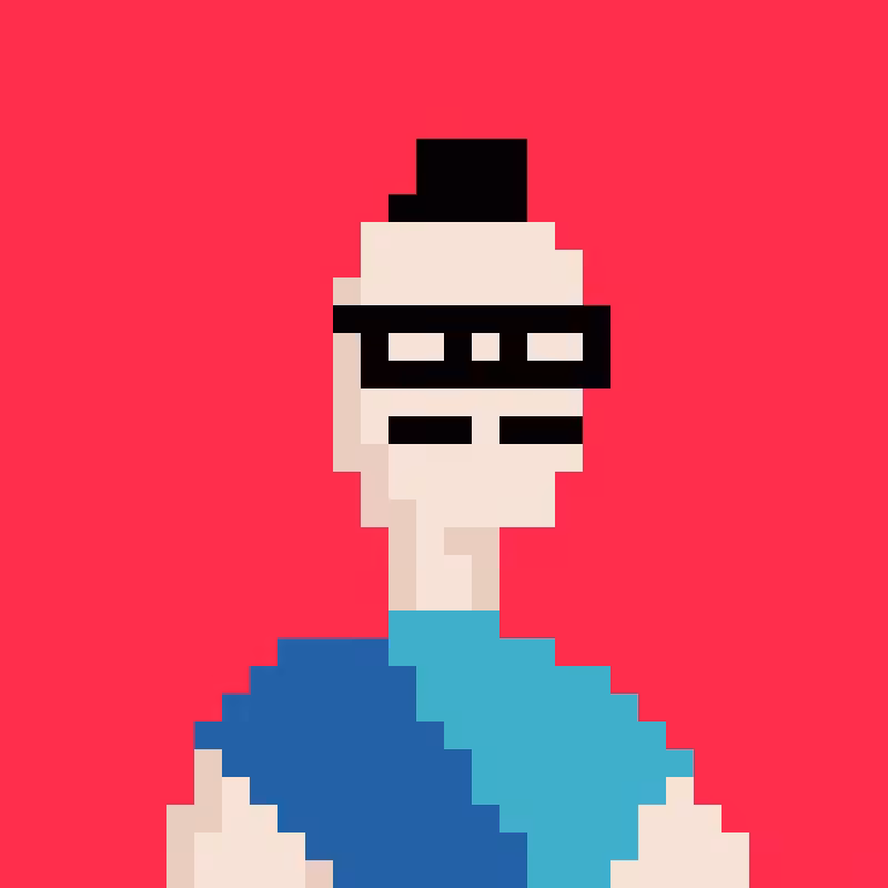 nERD PUNK #13