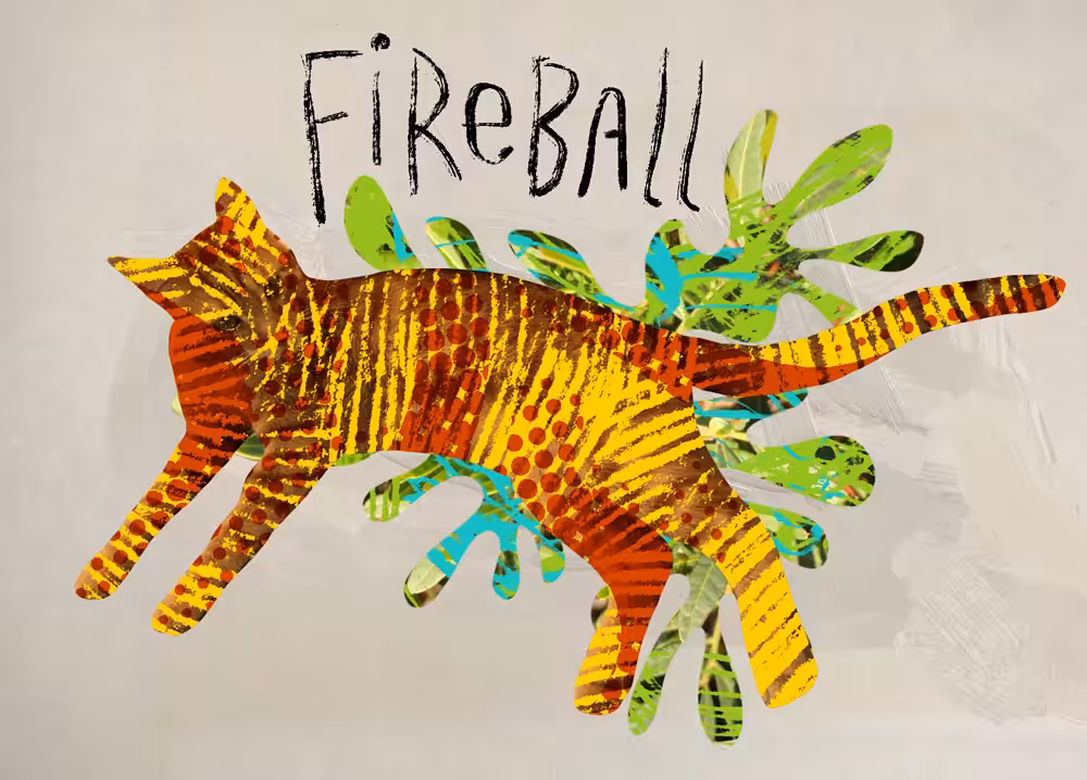 Fireball