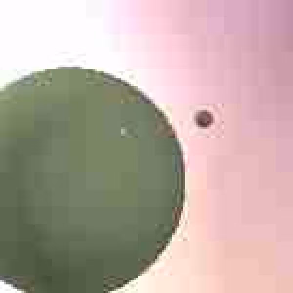 Orbit 212420948