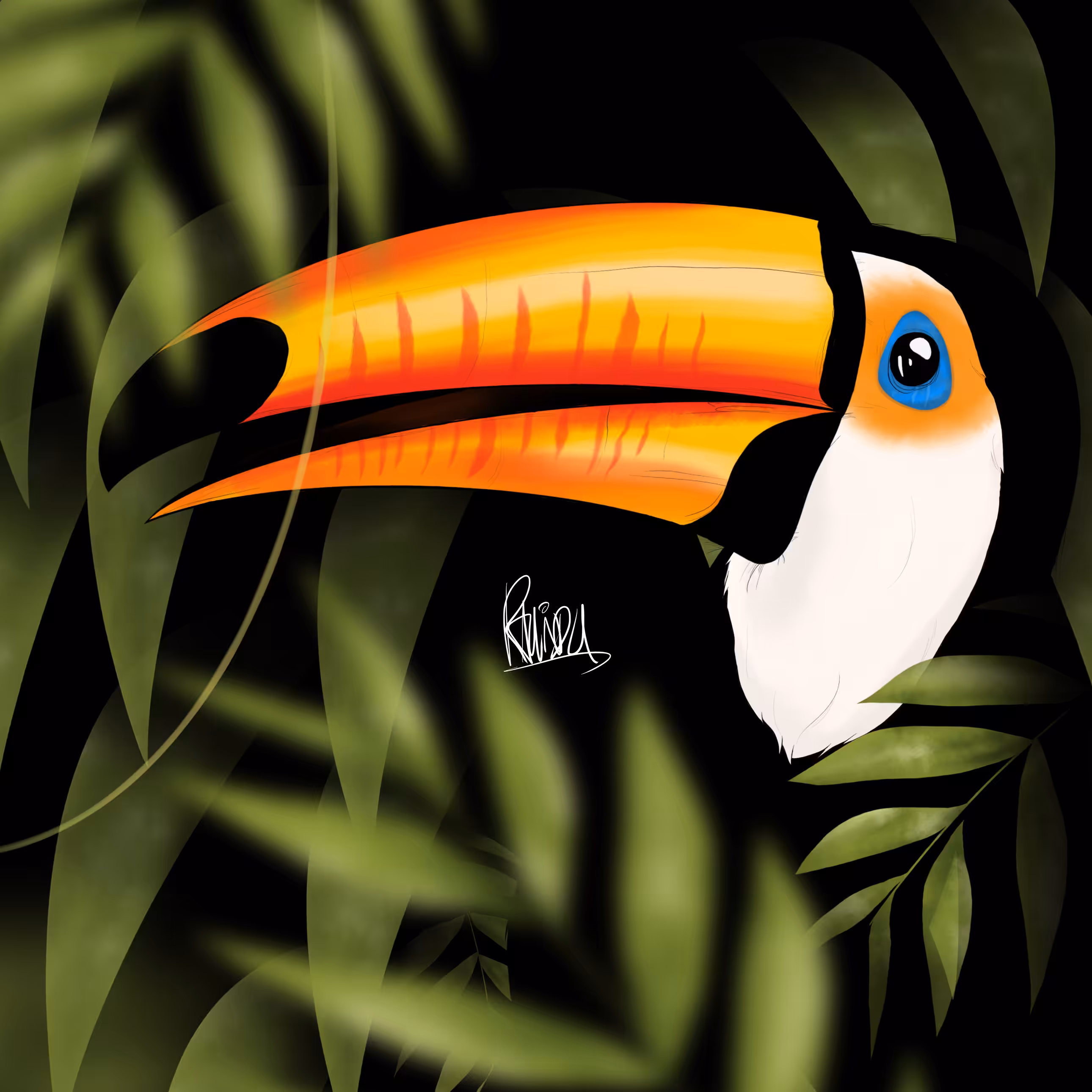 TOCO
