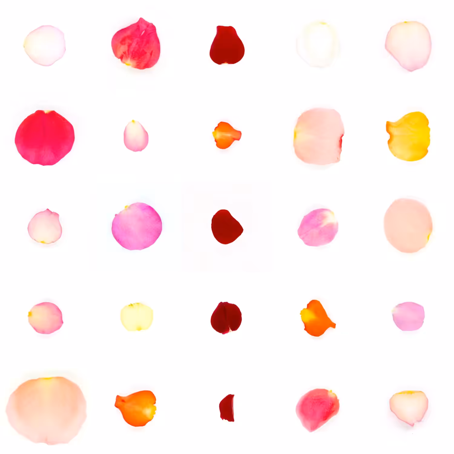 Infinite Petals 5x5#430
