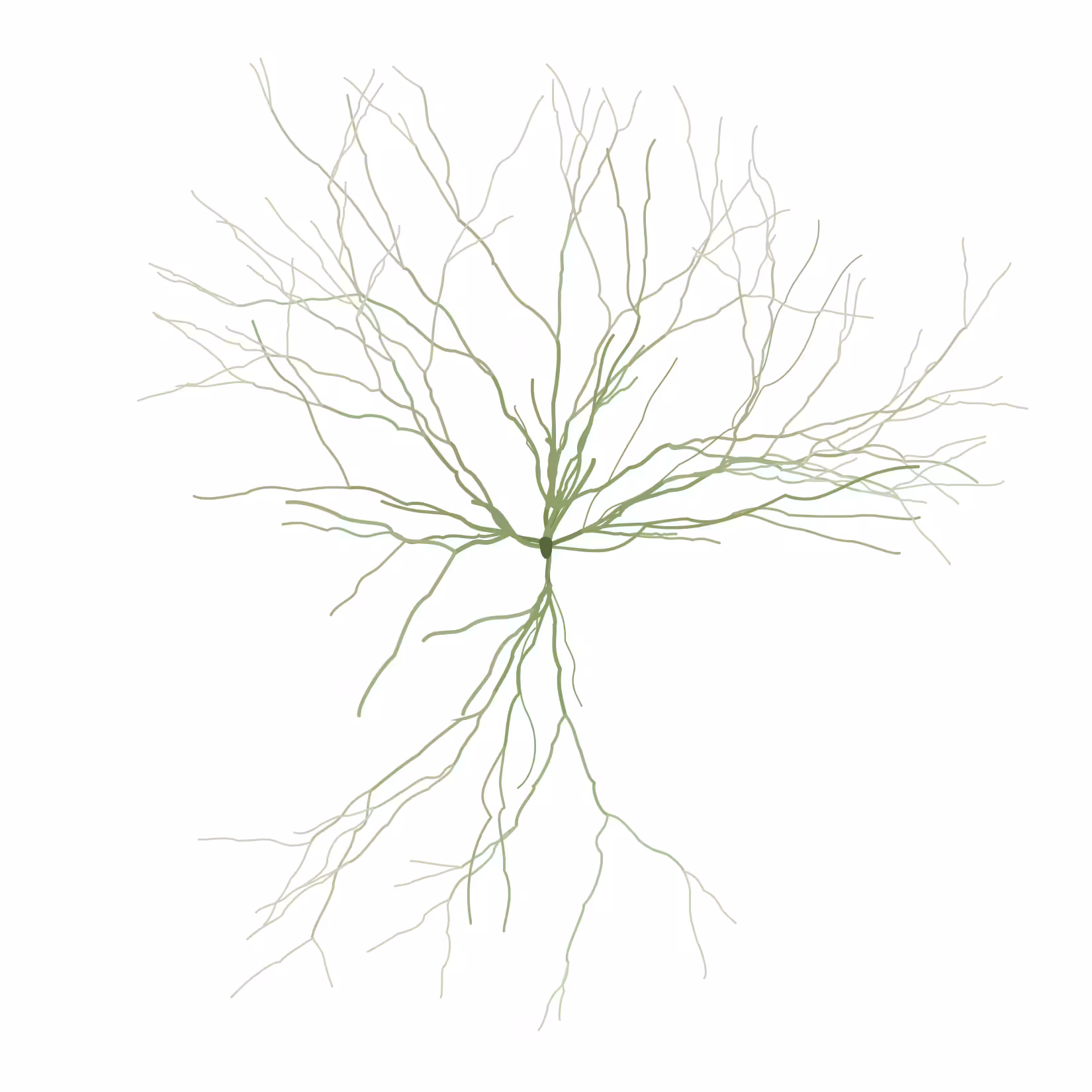 Ghost Forest Seedlings: Ghost Forest Seedling #420