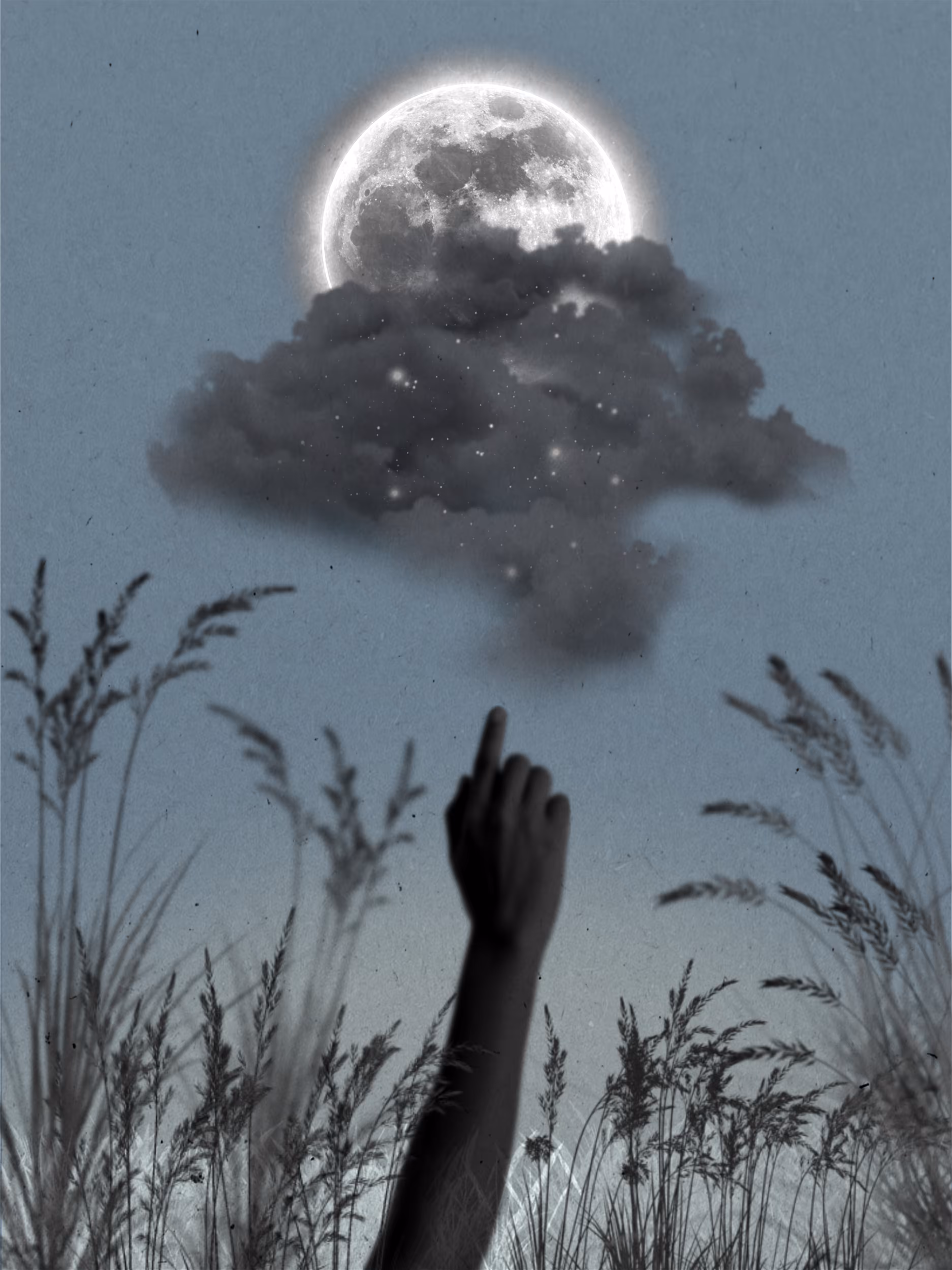Catch the Moon