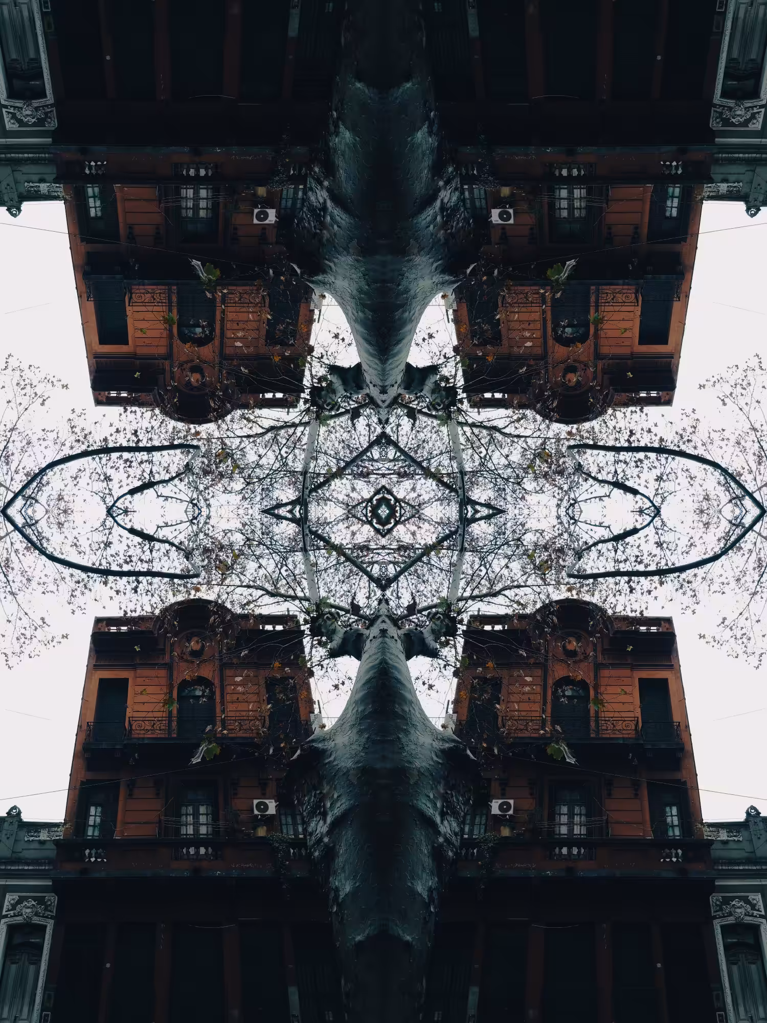 ℜ𝔢𝔪𝔬𝔱𝔢 𝔦𝔪𝔞𝔤𝔢