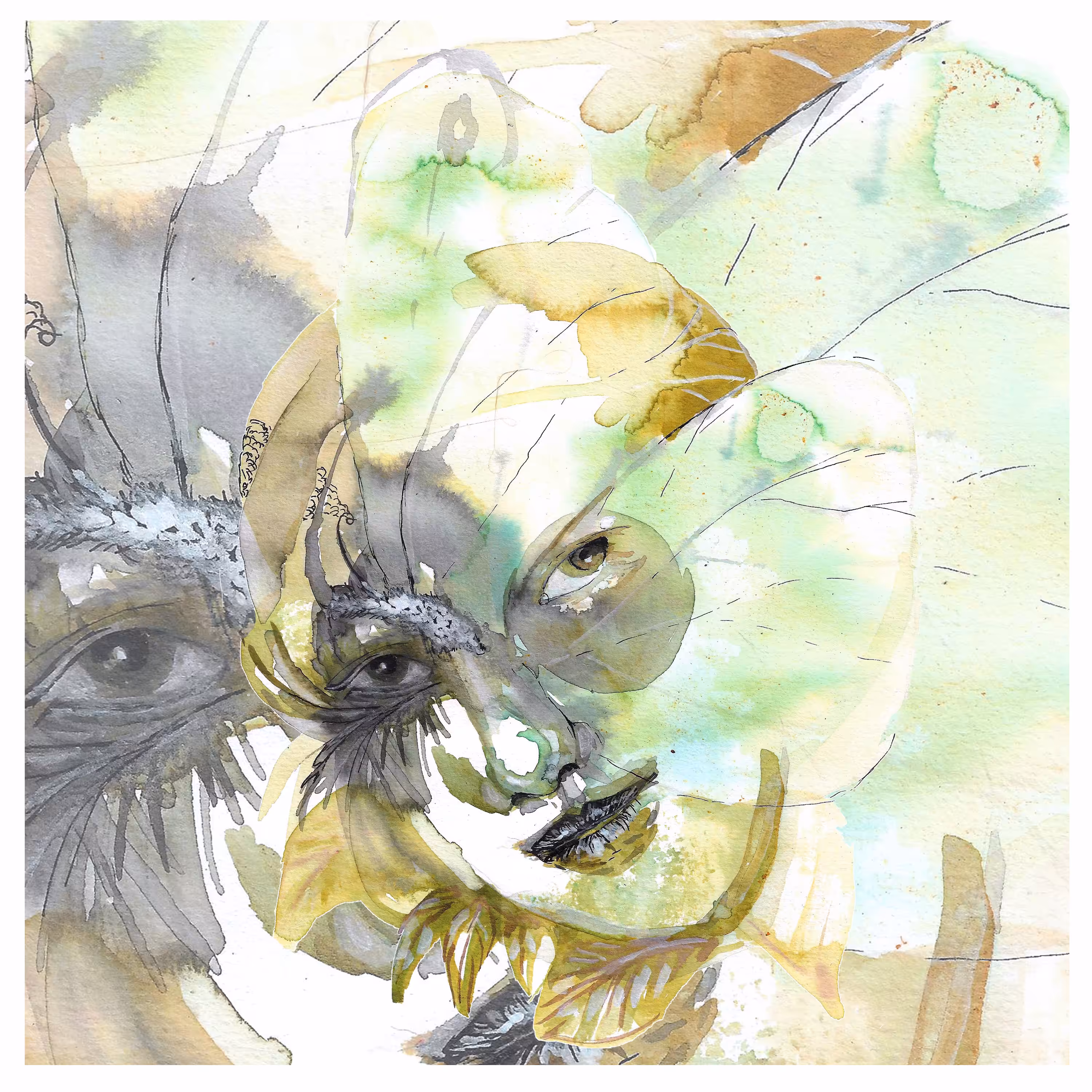 White Cabbage Butterfly Protector