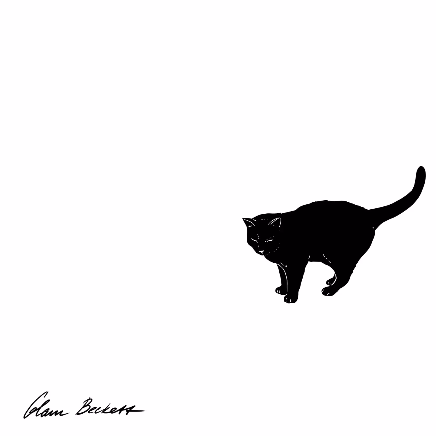 soft shadow in motion