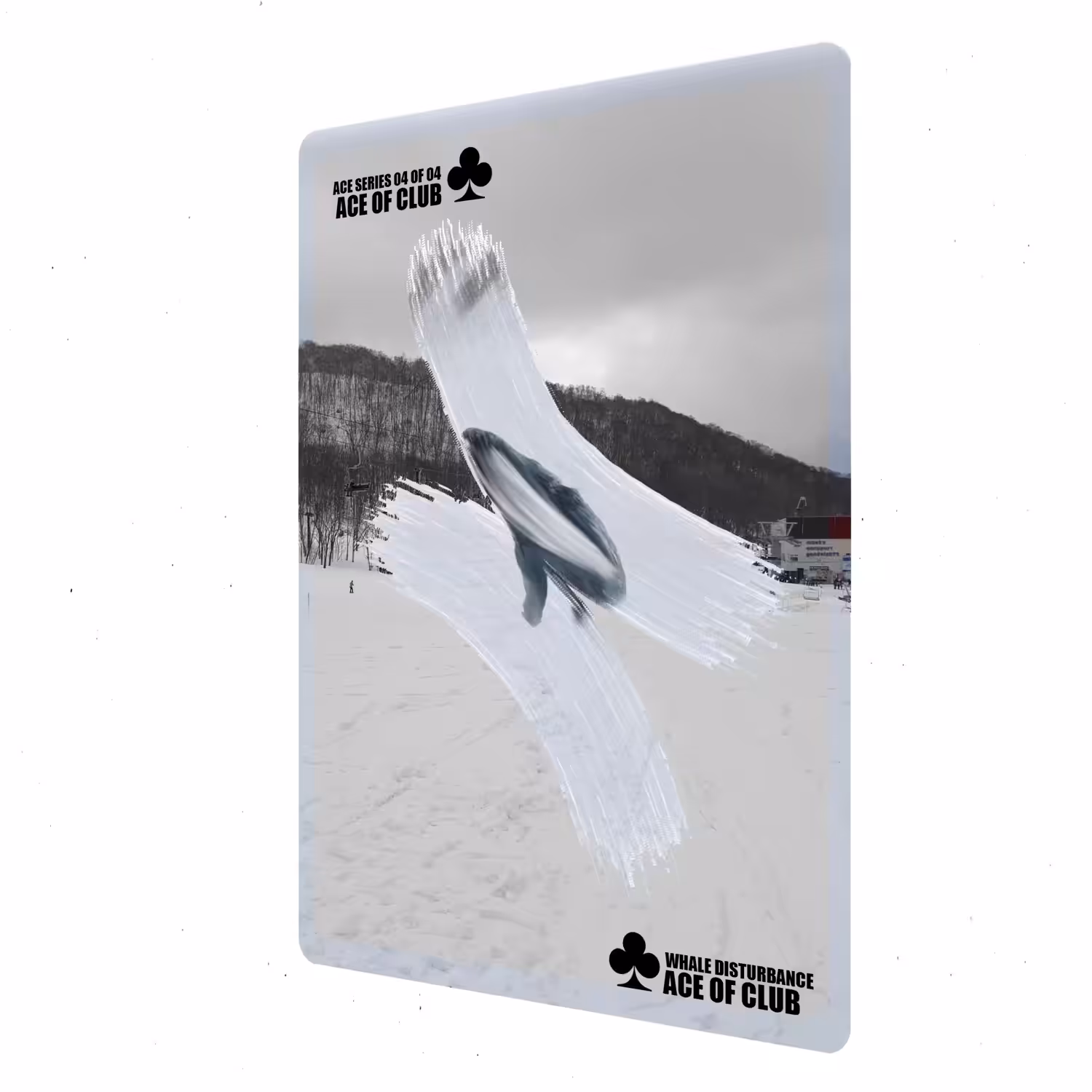 FLYING ORCA 