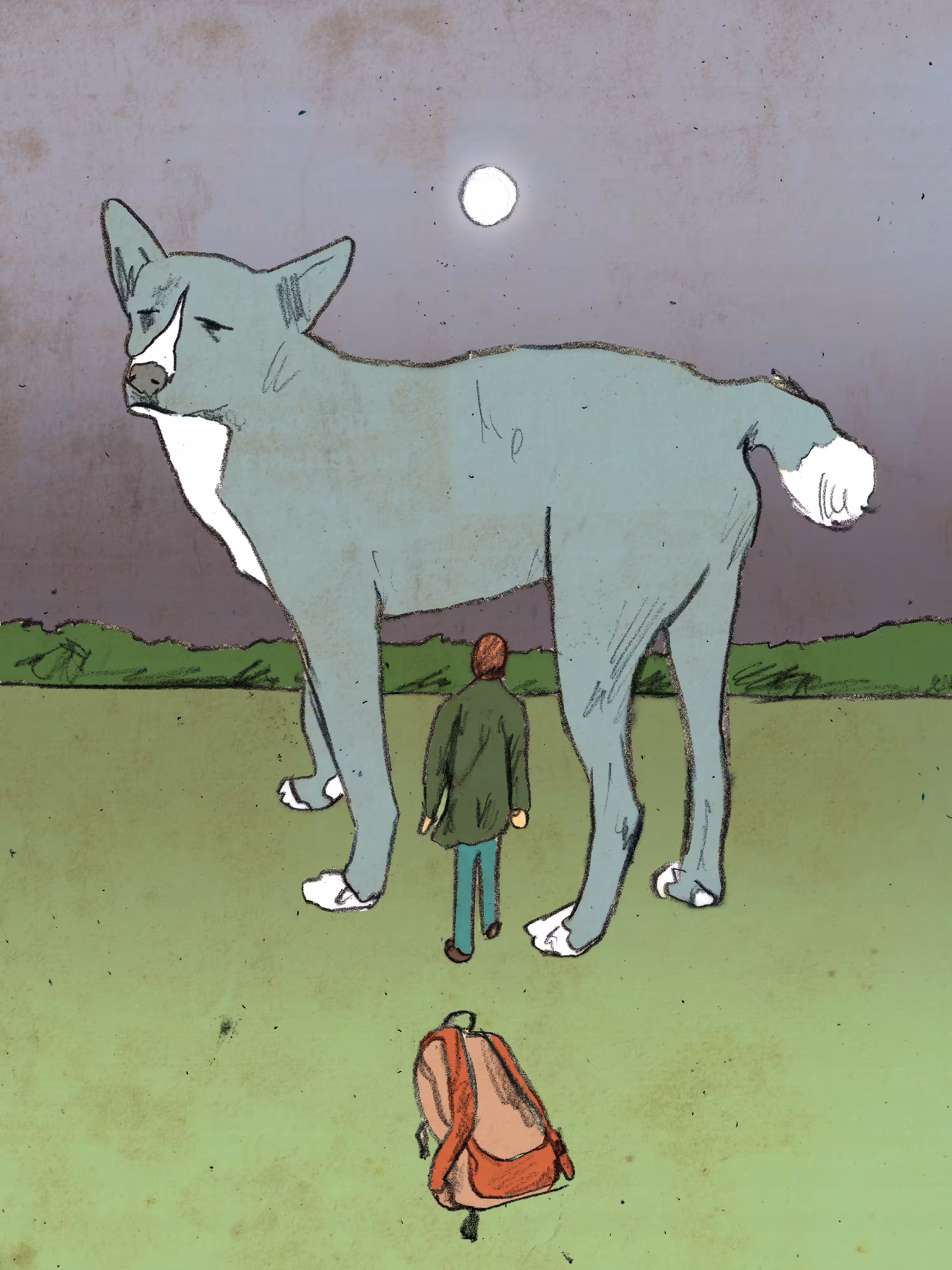 Big Dog