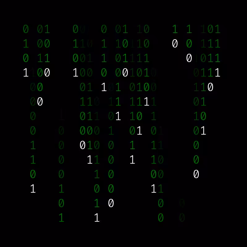 matrix #81