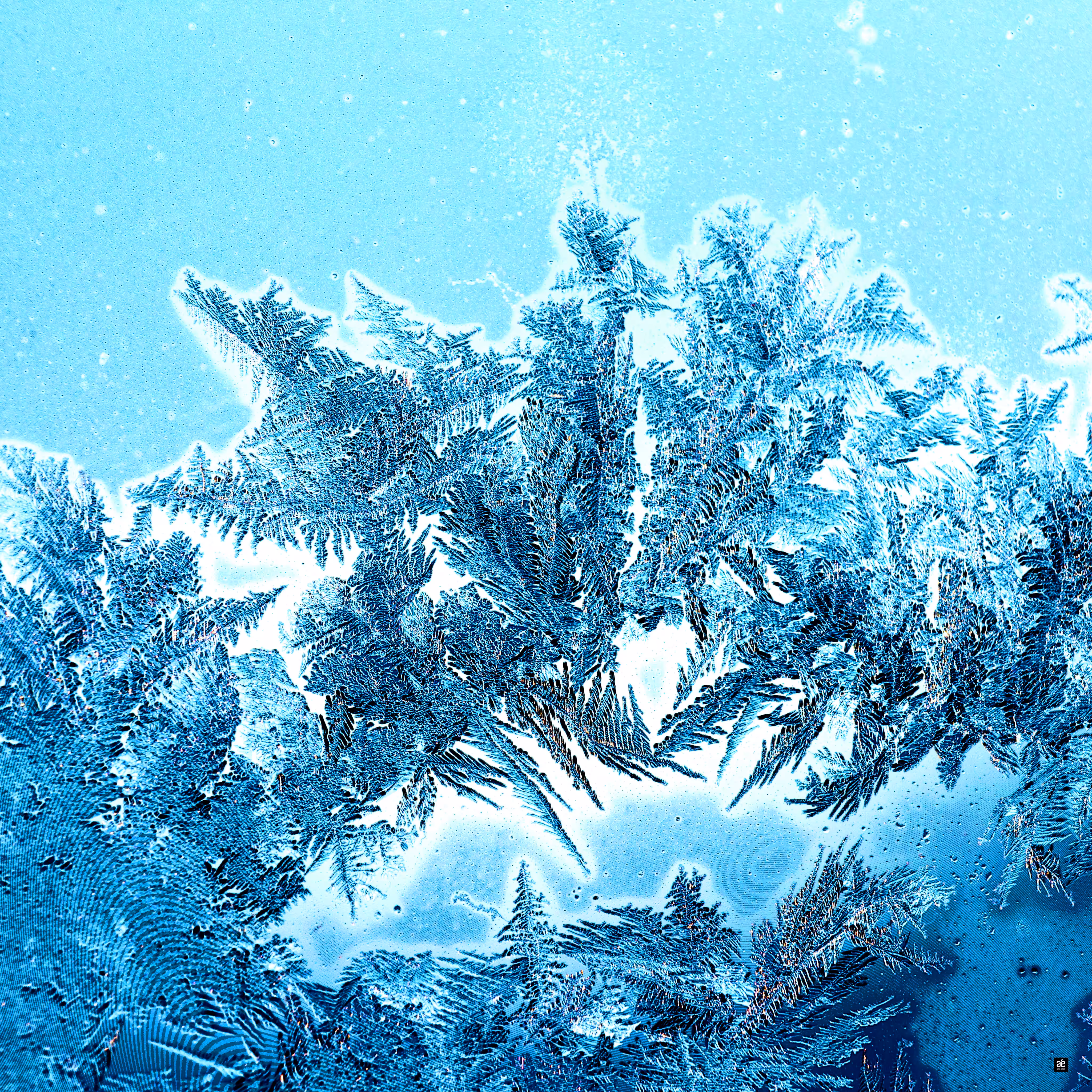WINTER MAGIC